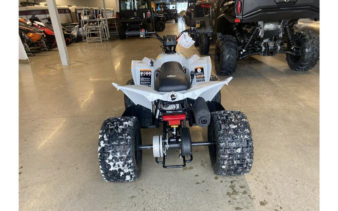 2024 Can-Am Renegade 110 EFI