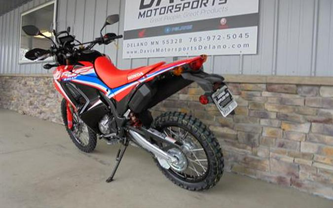 2024 Honda CRF300L Rally ABS