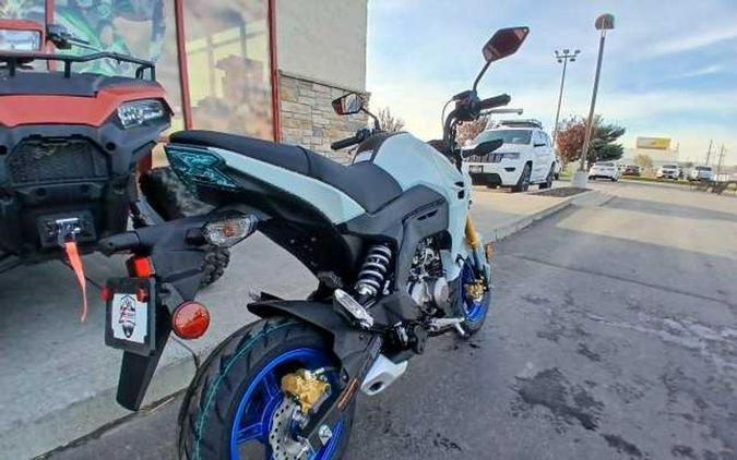 New 2026 Kawasaki Z125 PRO
