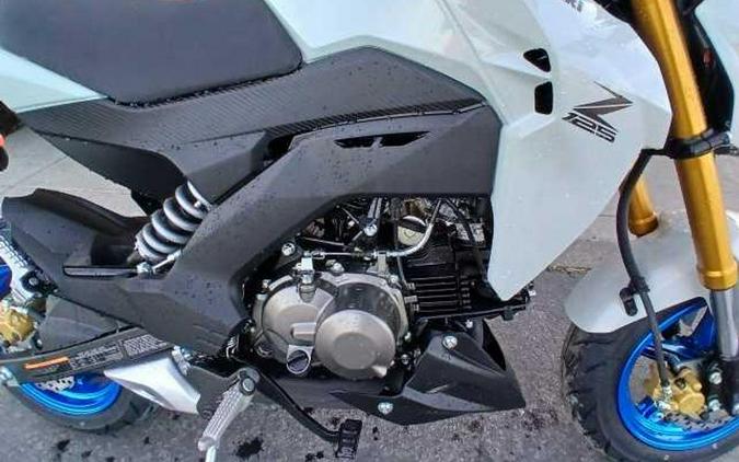 New 2026 Kawasaki Z125 PRO