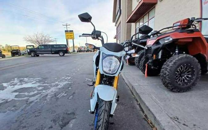 New 2026 Kawasaki Z125 PRO