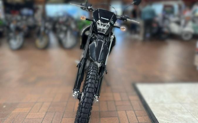 2026 Kawasaki KLX 300