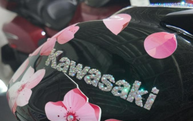 2025 Kawasaki EX650 NON-ABS