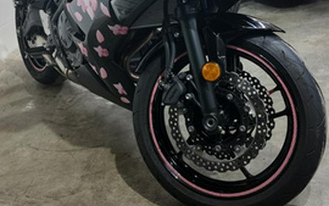 2025 Kawasaki EX650 NON-ABS