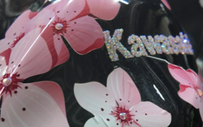 2025 Kawasaki EX650 NON-ABS