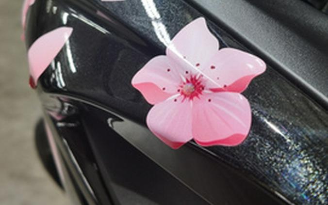 2025 Kawasaki EX650 NON-ABS