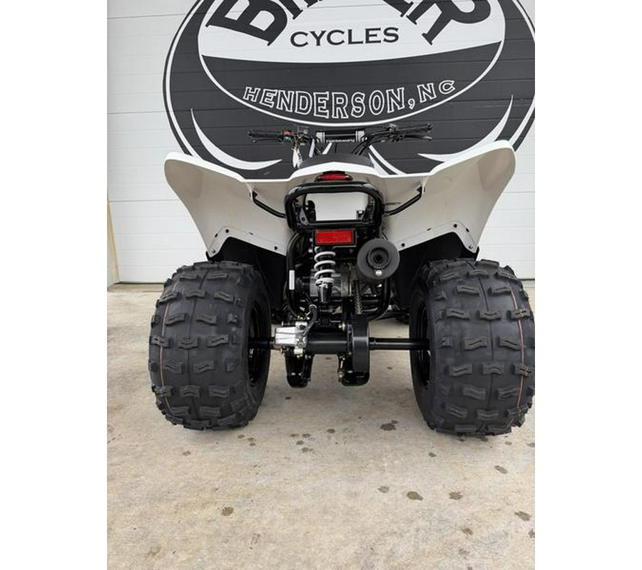 2027 Kawasaki KFX®90