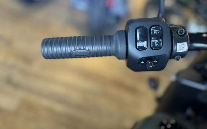 2024 Indian Springfield Dark Horse Sagebrush Smoke