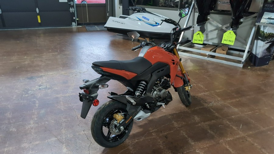 2025 Kawasaki Z125 PRO