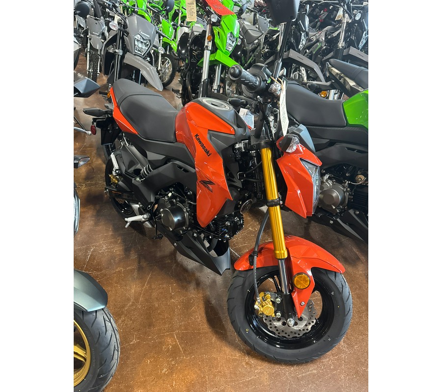 2025 Kawasaki Z125 PRO
