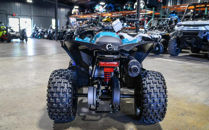 2024 Can-Am® Renegade 70 EFI