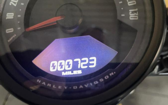 2025 Harley-Davidson Nightster