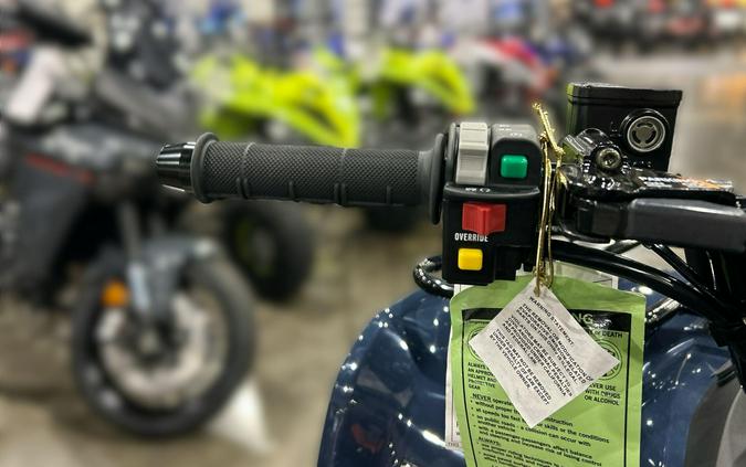 2026 Kawasaki BRUTE FORCE 300