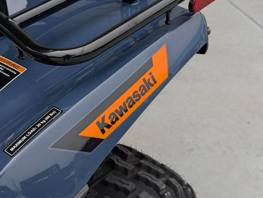 2026 Kawasaki Brute Force® 300