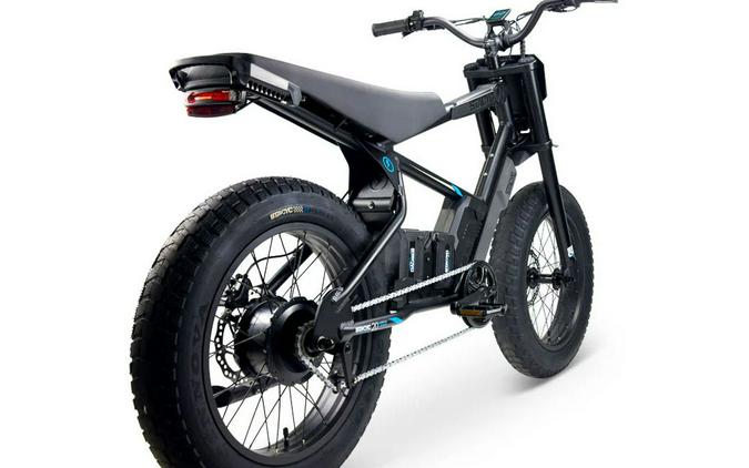 2025 Stacyc 20hDRIVE Class 2
