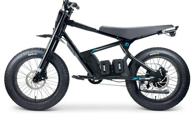 2025 Stacyc 20hDRIVE Class 2
