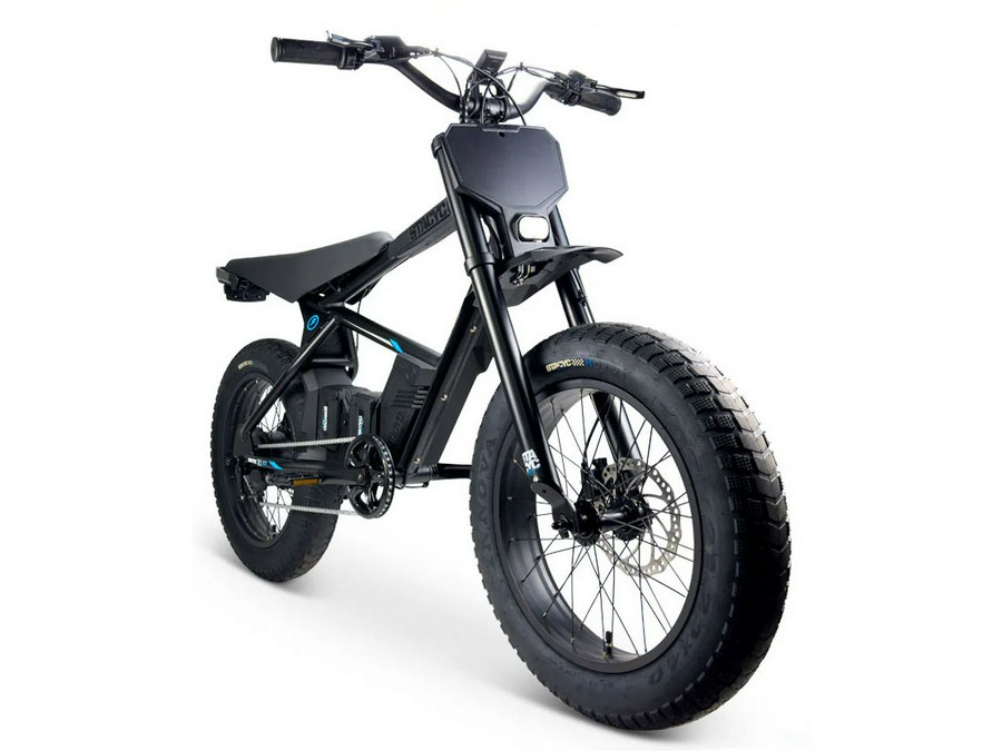 2025 Stacyc 20hDRIVE Class 2