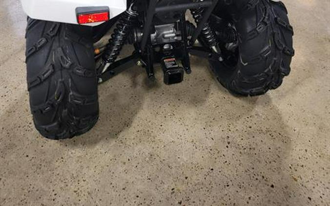 2025 Kawasaki Brute Force 450 4x4