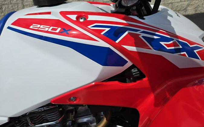 2026 Honda TRX250X