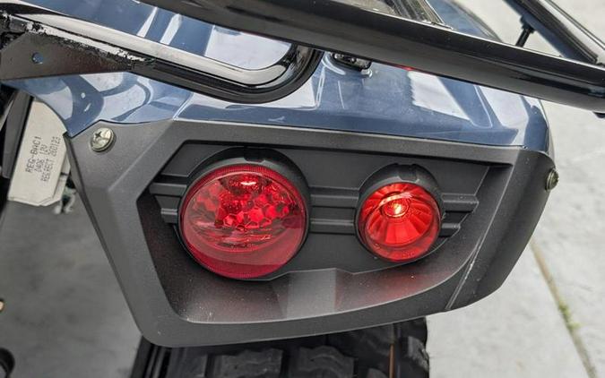 2026 Kawasaki Brute Force® 300