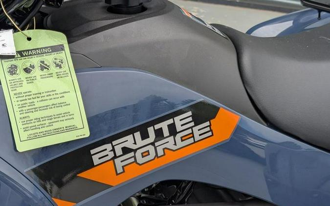 2026 Kawasaki Brute Force® 300