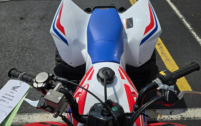 2026 Honda TRX250X