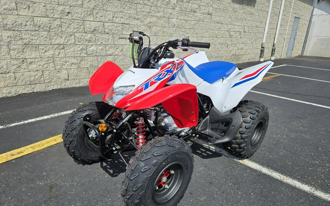 2026 Honda TRX250X