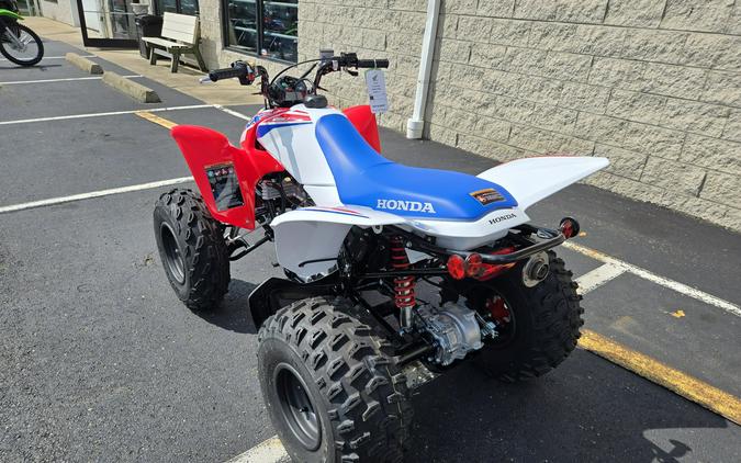 2026 Honda TRX250X