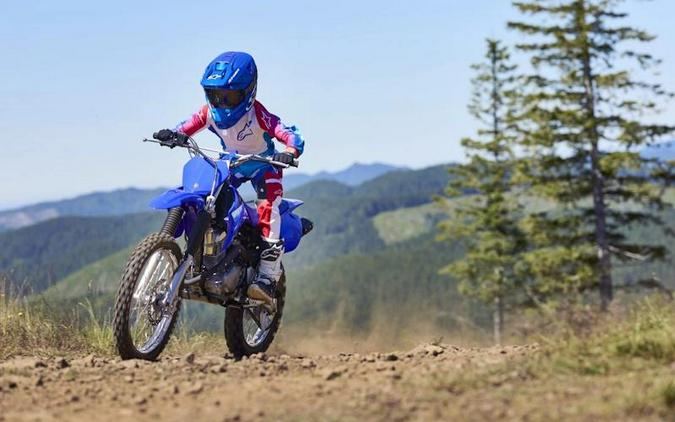 2027 Yamaha TT-R125LE