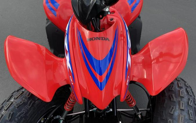 2024 Honda® TRX90X