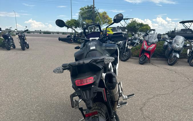 2025 Triumph Tiger 1200 Rally Pro