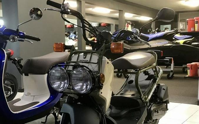 2024 Honda Ruckus