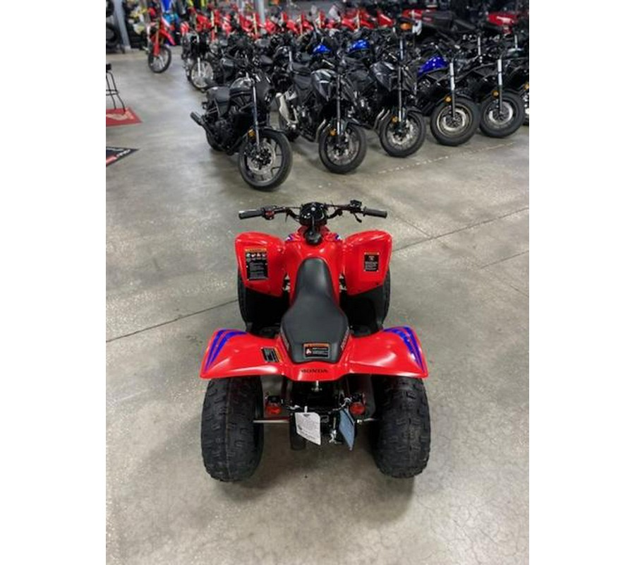 2024 Honda® TRX90X