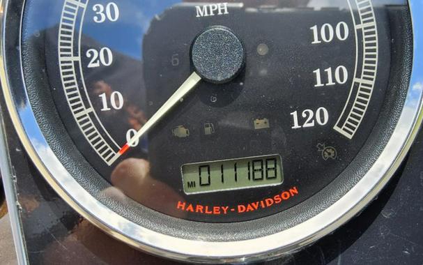 2013 Harley-Davidson Softail® Fat Boy® Lo 110th Anniversary Edition