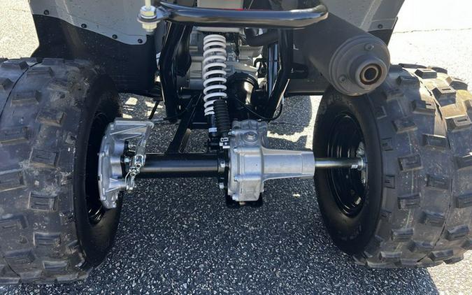 2026 Polaris Phoenix 200