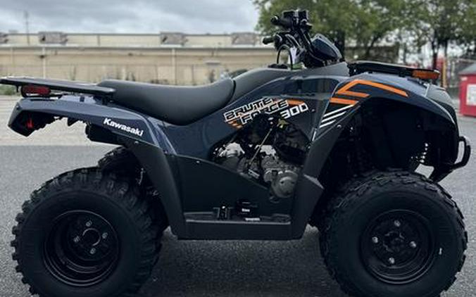 2024 Kawasaki Brute Force® 300