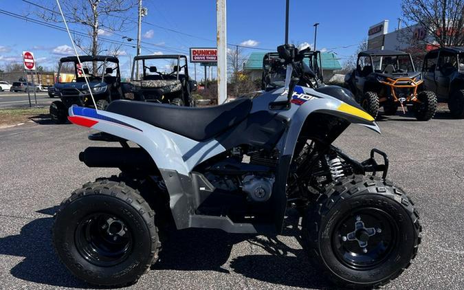 2026 Polaris Phoenix 200