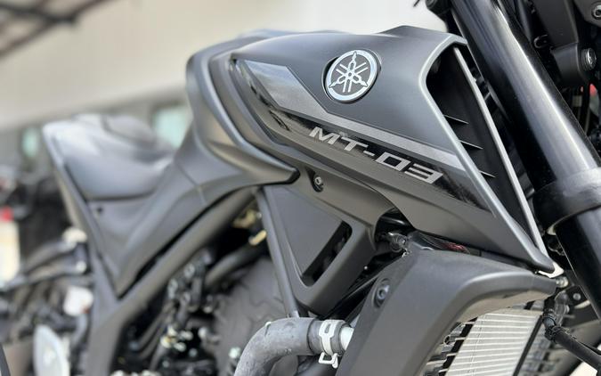 2024 Yamaha MT 03