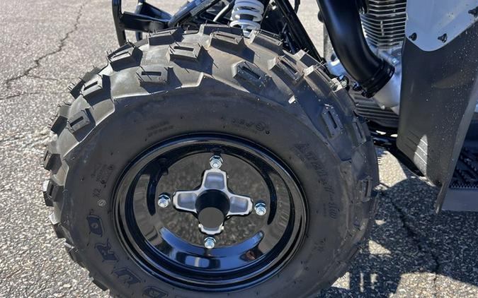 2026 Polaris Phoenix 200