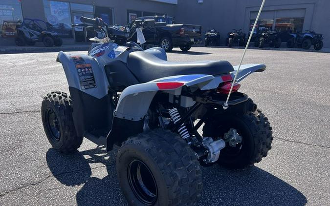 2026 Polaris Phoenix 200