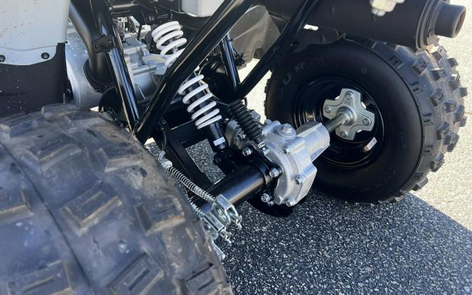 2026 Polaris Phoenix 200