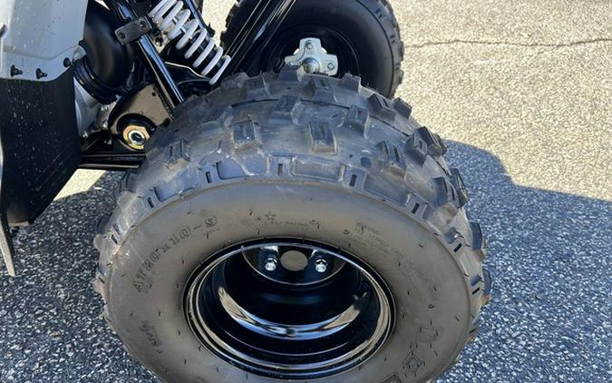 2026 Polaris Phoenix 200