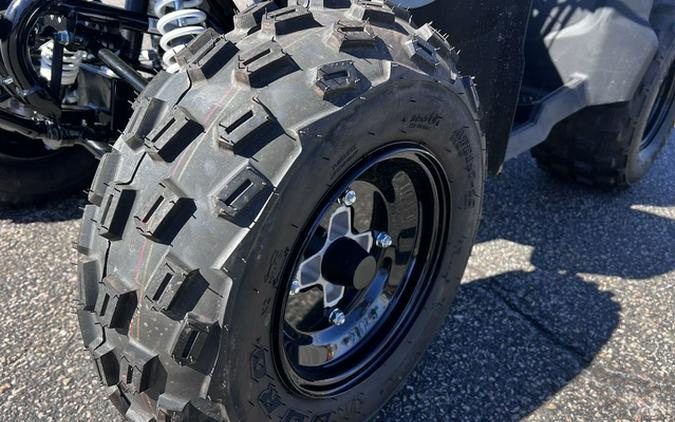 2026 Polaris Phoenix 200