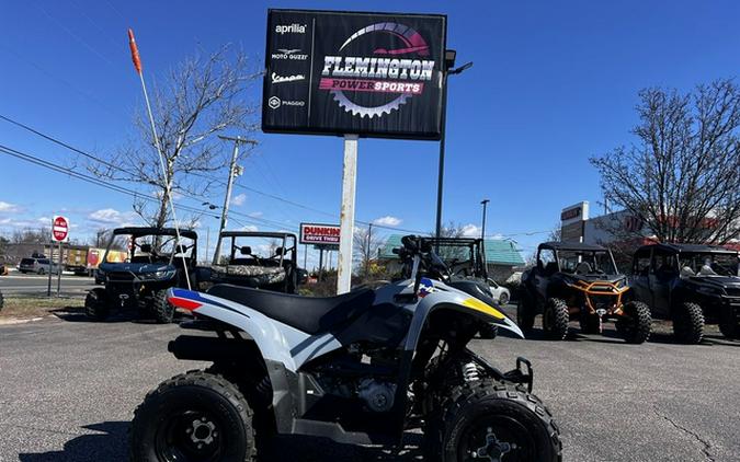 2026 Polaris Phoenix 200