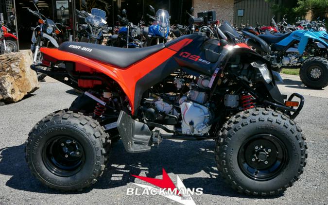 2024 Can-Am DS 250