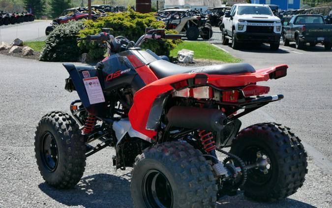 2024 Can-Am DS 250