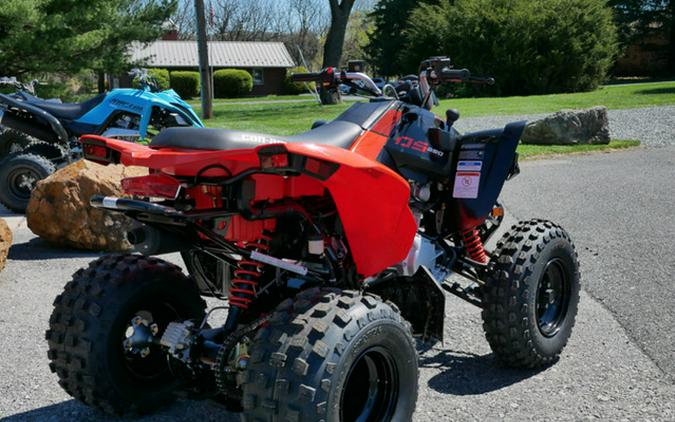 2024 Can-Am DS 250