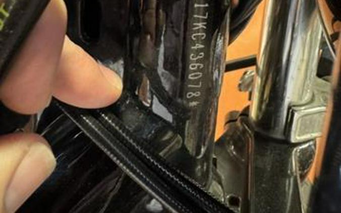 2019 Harley-Davidson Iron 883™