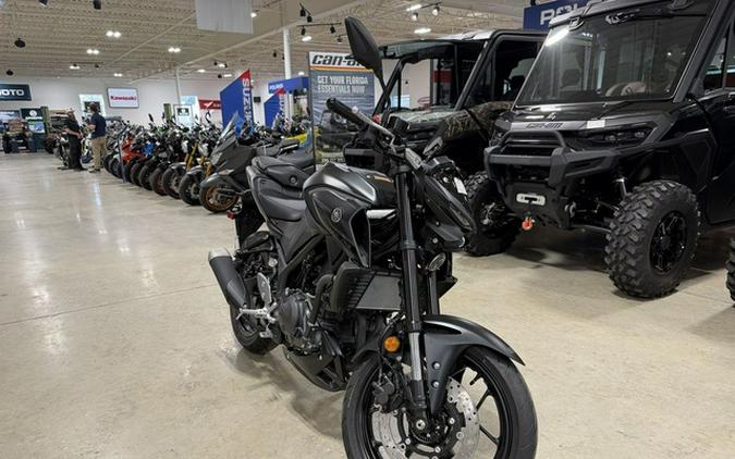 2026 Yamaha MT 03