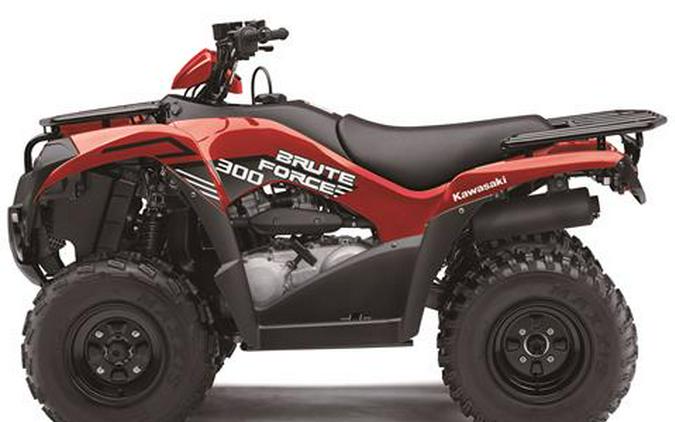 2024 Kawasaki Brute Force 300